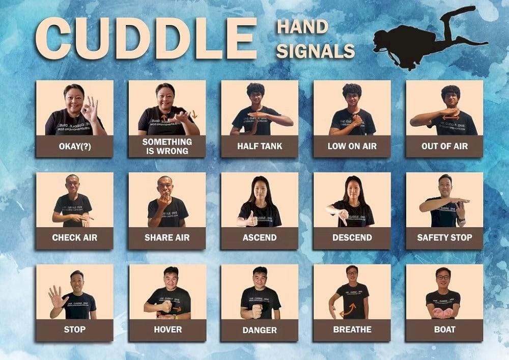 An instructor demonstrates hand signals to ensure effective underwater communication during the tour (Source: Cuddlefish Divers)